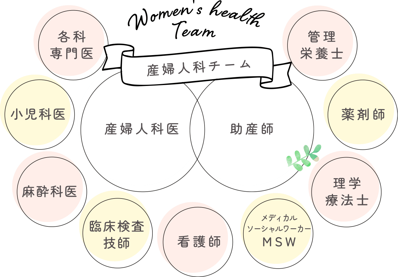 Women's health Team 産婦人科チーム　産婦人科医　助産師　各科専門医　小児科医　麻酔科医　臨床検査技師　看護師　メディカルソーシャルワーカーMSW　理学療法士　薬剤師　管理栄養士